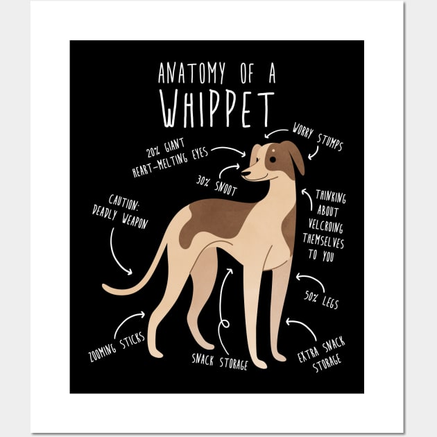Whippet Dog Anatomy Wall Art by Psitta